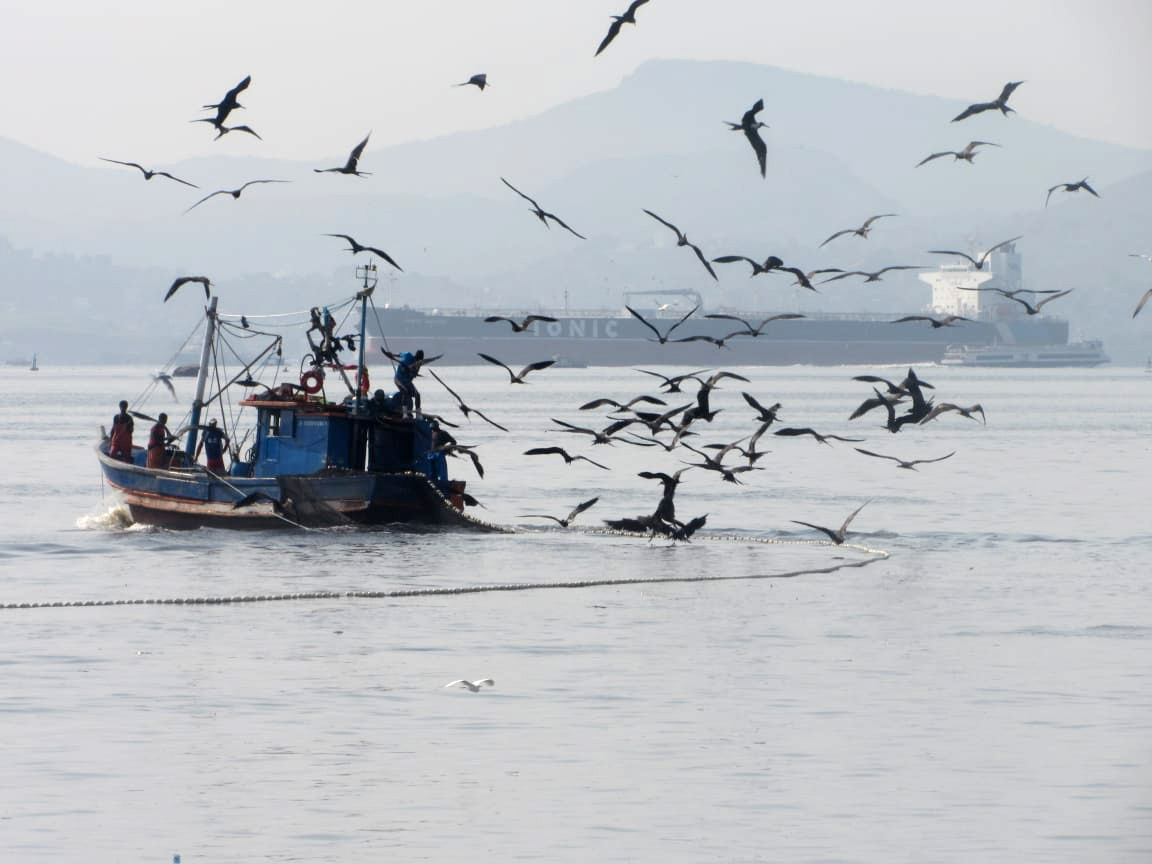 A bela foto enviada pelo leitor Leandro Pacheco mostra a perseguição de pássaros ao barco pesqueiro no entorno da Ilha. Sempre sobra um peixinho para as aves