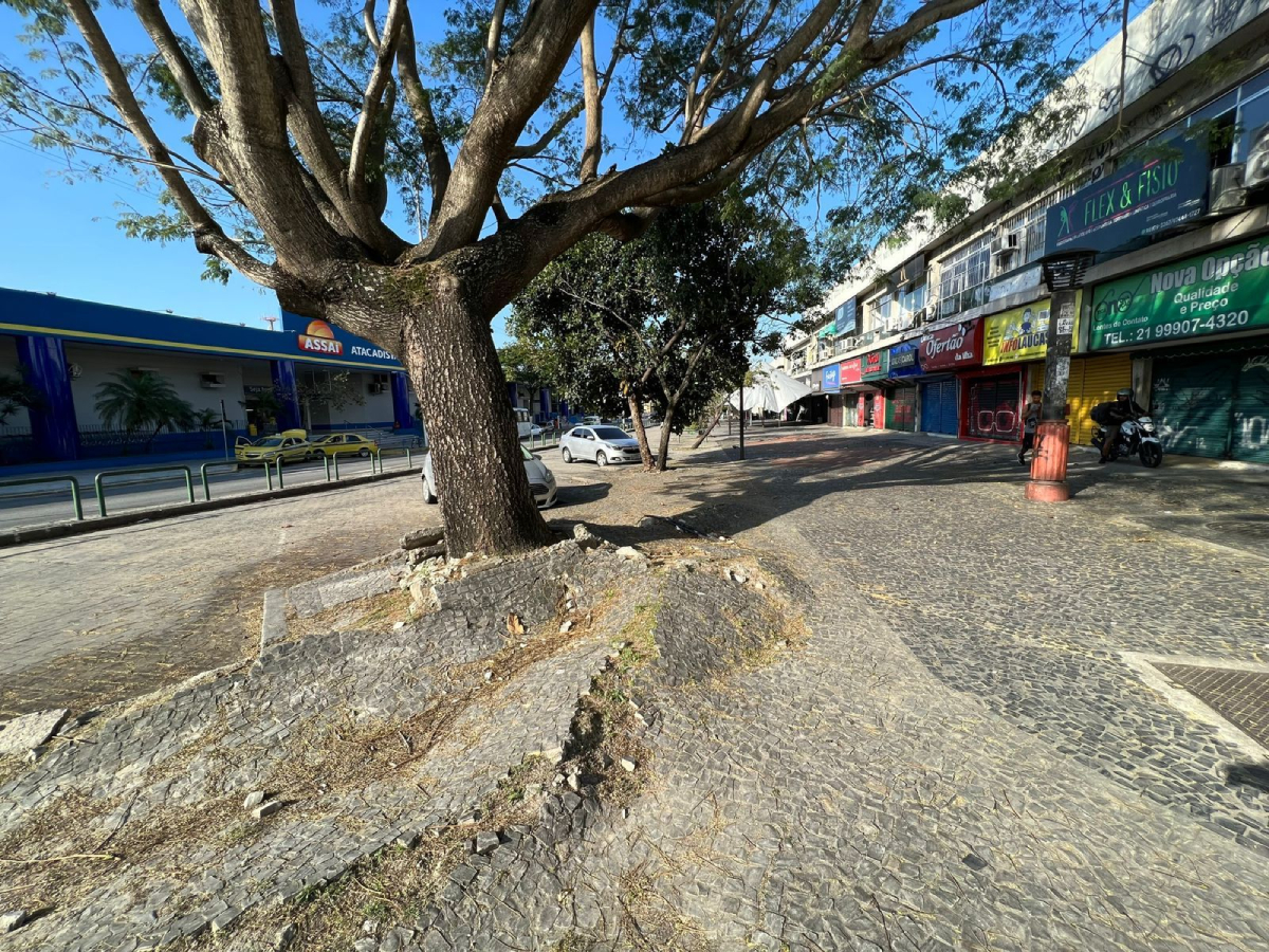Raízes de árvore racham a calçada da Estrada do Galeão, em frente ao Assaí: risco de queda a pedestres