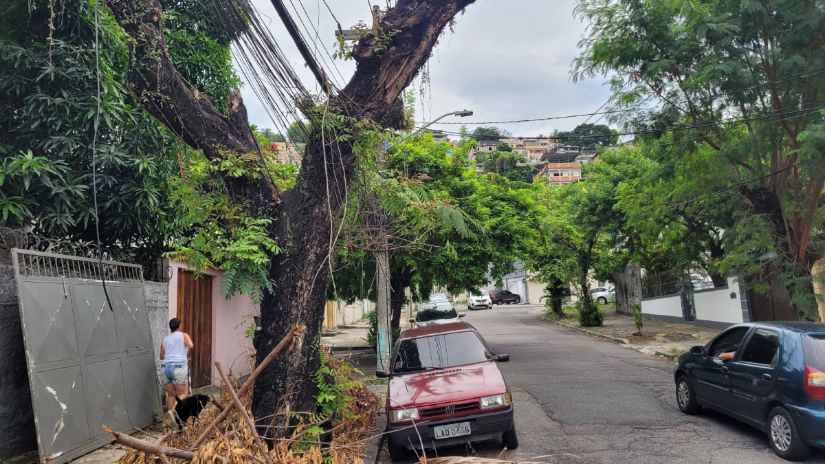 Fios soltos sobre a árvore na Rua Sobragi, no Tauá, colocam pedestres em risco