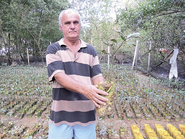 Celino com uma muda de árvore típica de mangue dentro do horto 