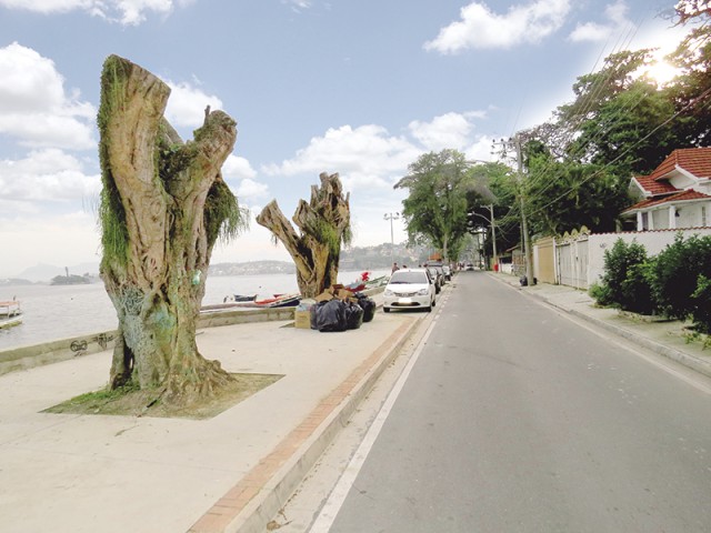Podas imprudentes deixam as ruas quase sem vida como na Praia da Guanabara