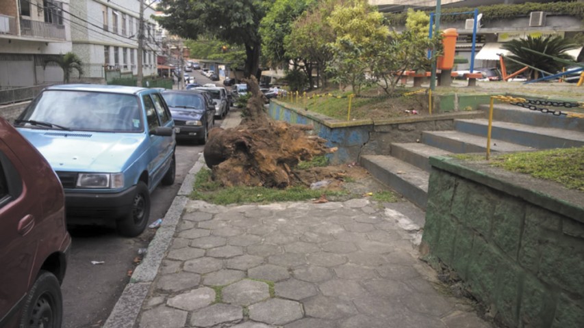 A raiz de uma árvore cortada na calçada da Praça Anibal no Jardim Guanabara está abandonada há semanas e impede a passagem de pedestres pelo local