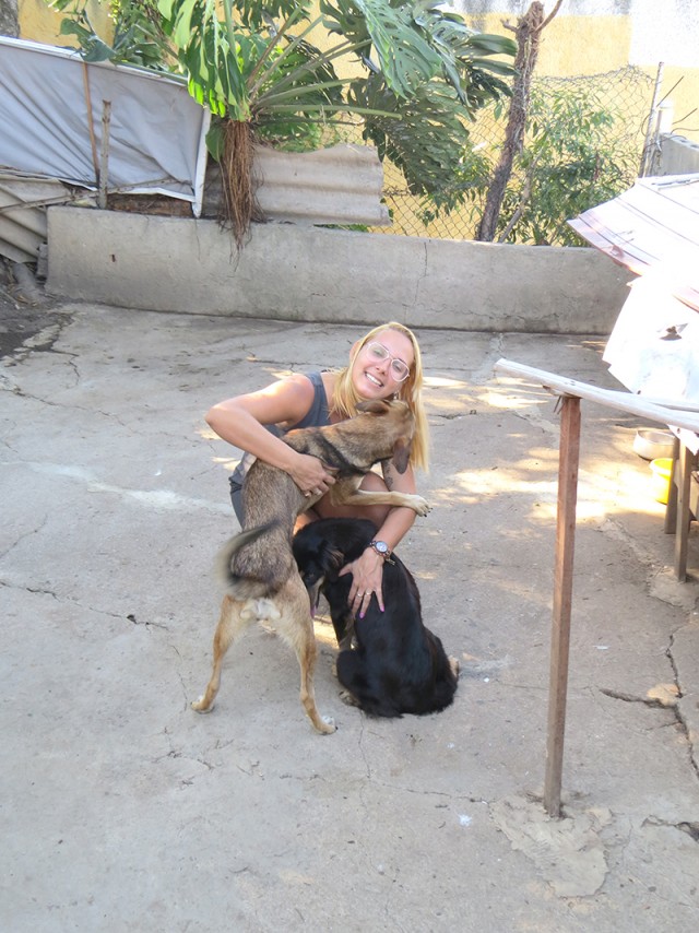 Francine Santos recebe o carinho de duas cadelas que foram resgatadas