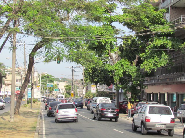 Galhos e folhas impedem que motoristas vejam o sinal de trânsito a certa distância