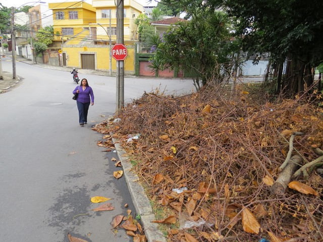 Galhos e folhas obstruem a calçada na Rua Correia e Castro há um mês