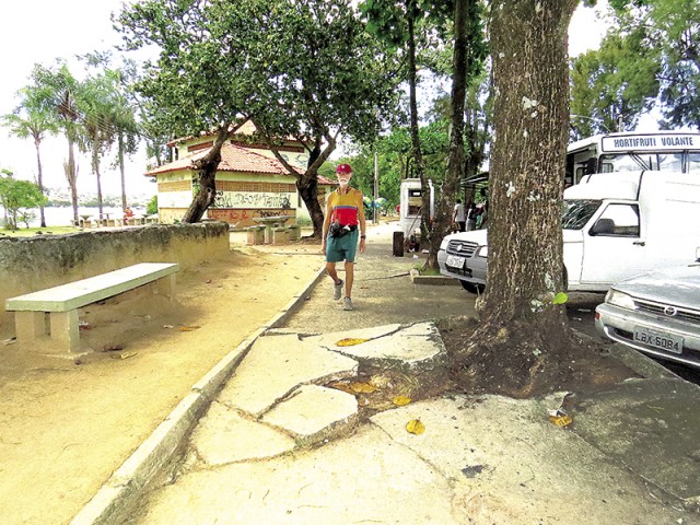 Raízes de árvores danificam a calçada do Corredor Esportivo. Risco de queda para os transeuntes