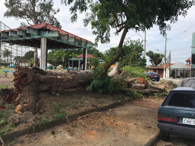 Na Praça da Rua Formosa, no Jardim Guanabara, uma árvore caiu há semanas e ocupa parte da calçada dificultando o trânsito de pedestres que passam pelo local