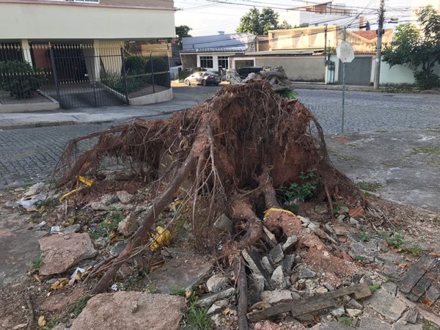 Raiz de árvore arrancada pelo temporal do dia 15 de fevereiro está abandonada na Praça do Papail Noel, no moneró, junto com destroços da calçada danificada