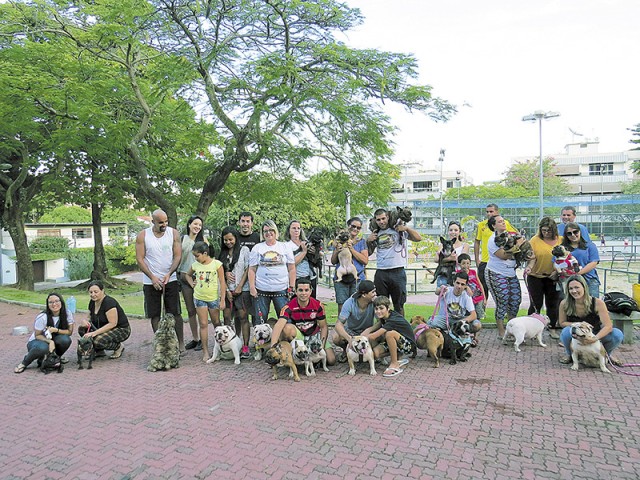 Donos de bulldogs inglês e francês confraternizam durante o encontro no sábado (5) na Praça Lauro Corona, no Jardim Guanabara