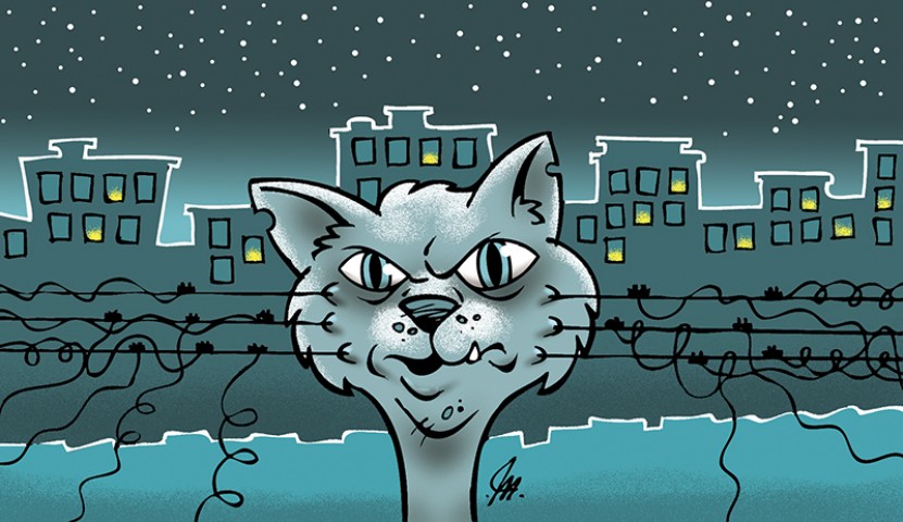 Light diz que motivo da falta de energia em bairros da Ilha são os gatos