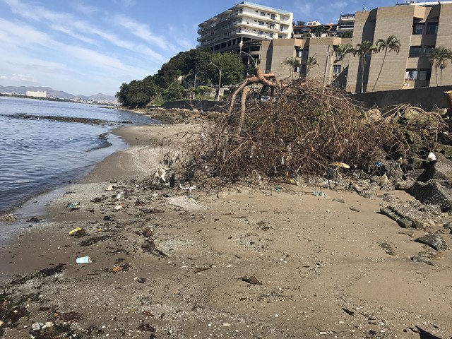 Os restos de tronco e galhos de uma árvore cortada foram jogados nas areias da Praia do Quebra Coco