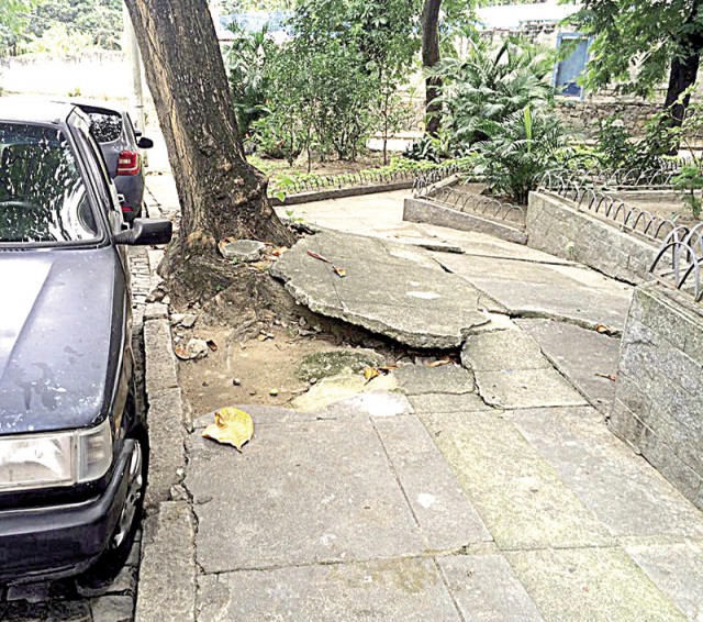 Raíz da árvore destruiu calçada na Álvaro Dias  no Jardim Guanabara 