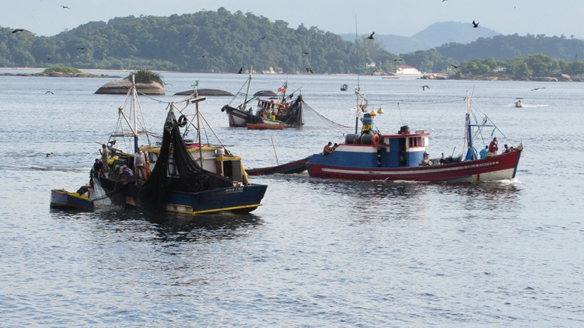 Pescadores usam redes de arrastão para a pesca irregular na Baía de Guanabara
