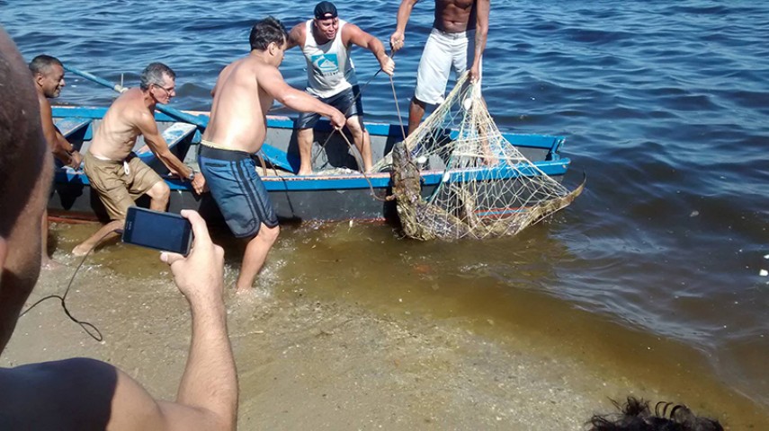 Com a ajuda de cordas e redes, moradores retiram o réptil do mar