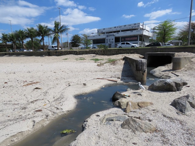 Esgoto é despejado nas areias da Praia do Galeão e provoca mau cheiro 